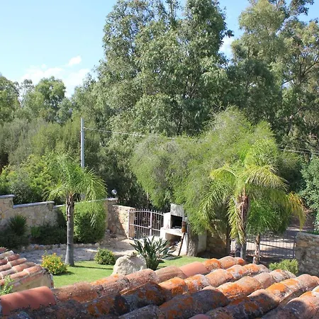 Antonella 빌라시미우스