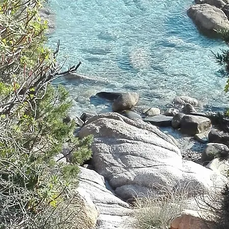 Antonella 빌라시미우스