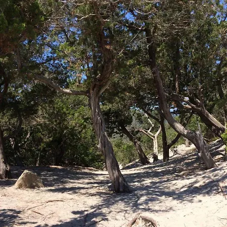 Hébergement de vacances Antonella Villasimius