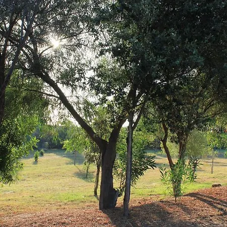 Hébergement de vacances Antonella Villasimius
