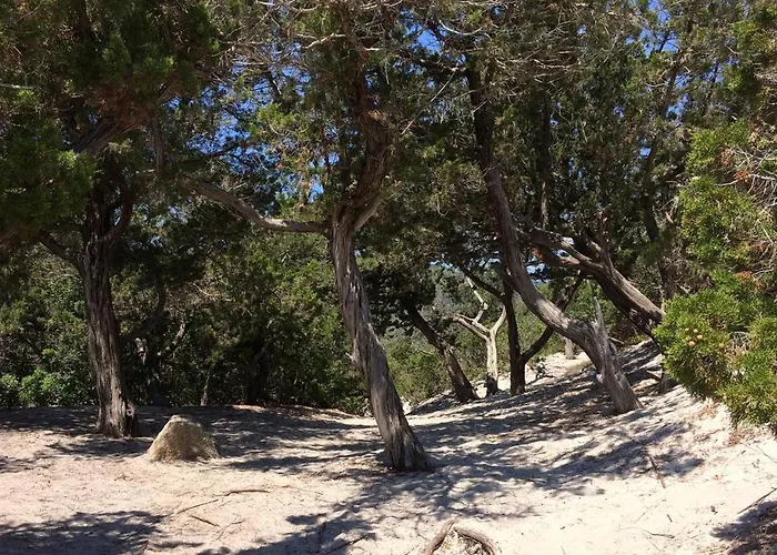 Holiday home Antonella Villasimius