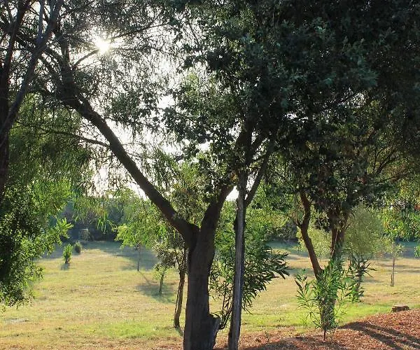 Holiday home Antonella Villasimius