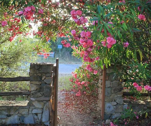 Antonella Holiday home Villasimius