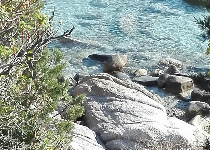 Antonella Villasimius